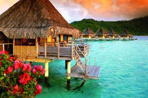 Maldives  Tour, Tour packages for Maldives , Maldives  Sightseeing, Shopping in Maldives , Book hotels and Resorts in Maldives , Book cheap flights for Maldives , Holidays in Maldives , Maldives  tour operators, Honeymoon in Maldives , Book Beach Resorts in Maldives , Maldives  city tour, Tourist Places to see in Maldives , Maldives  tourism, Tour to Maldives , sightseeing in Maldives 