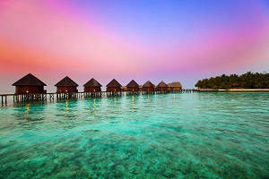 Maldives  Tour, Tour packages for Maldives , Maldives  Sightseeing, Shopping in Maldives , Book hotels and Resorts in Maldives , Book cheap flights for Maldives , Holidays in Maldives , Maldives  tour operators, Honeymoon in Maldives , Book Beach Resorts in Maldives , Maldives  city tour, Tourist Places to see in Maldives , Maldives  tourism, Tour to Maldives , sightseeing in Maldives 