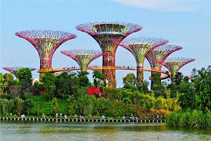 Singapore Tour, Tour packages for Singapore, Singapore Sightseeing, Shopping in Singapore, Book hotels and Resorts in Singapore, Book cheap flights for Singapore, Holidays in Singapore, Singapore tour operators, Honeymoon in Singapore, Singapore nightlife, Singapore city tour, Places to see in Singapore, Singapore tourism, Tour to Singapore
